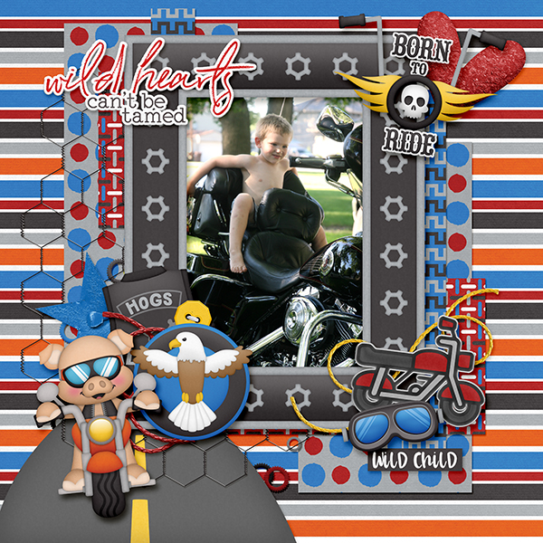 Motorcycle