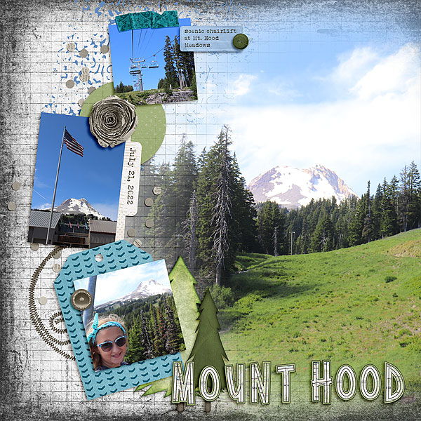 Mount Hood Meadows 1