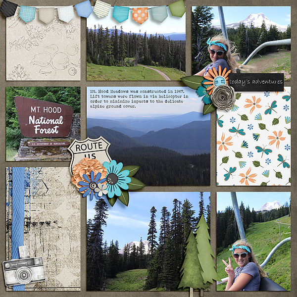 Mount Hood Meadows 4