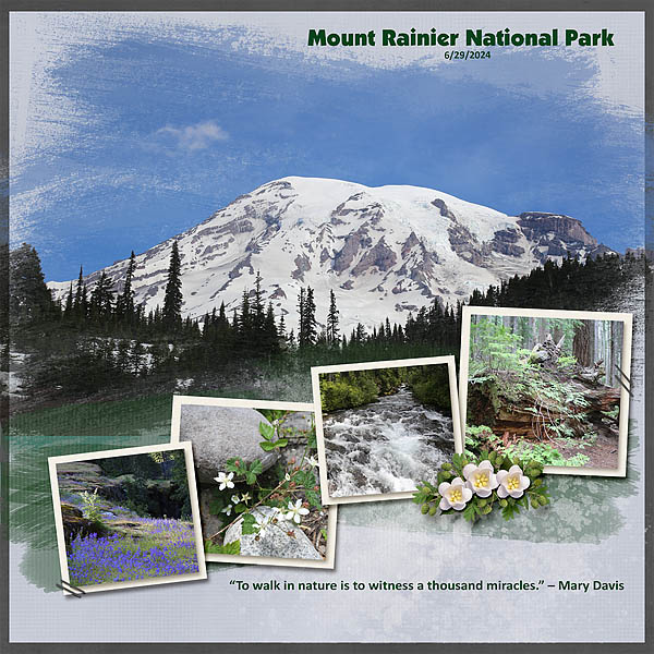 Mount Rainier National Park