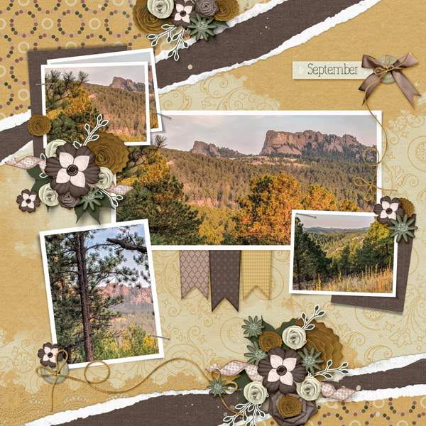 Mount Rushmore from afar