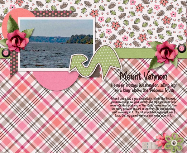 Mount Vernon