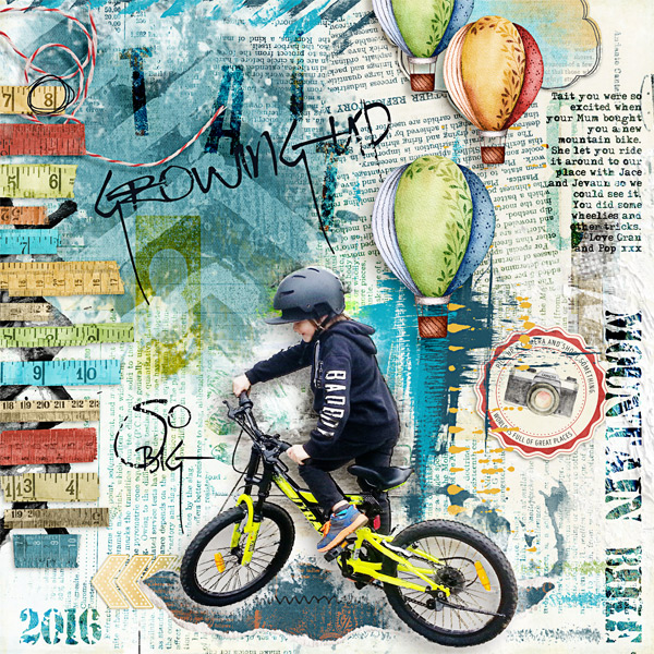 Mountain Bike