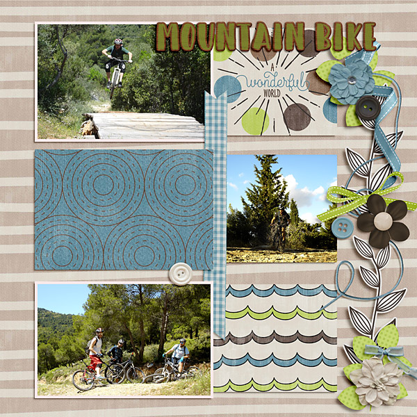 Mountain bike