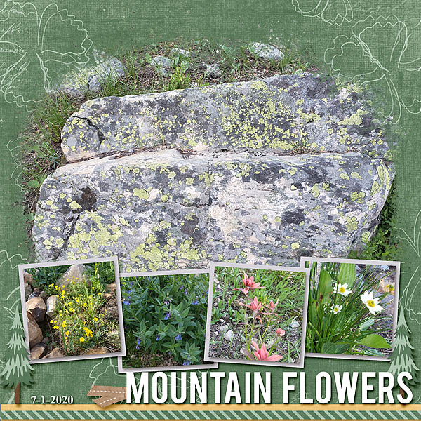 Mountain Flowers