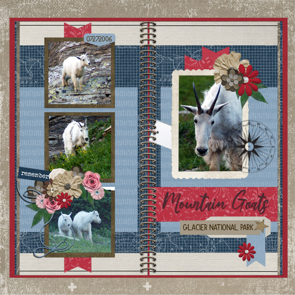 Mountain Goats