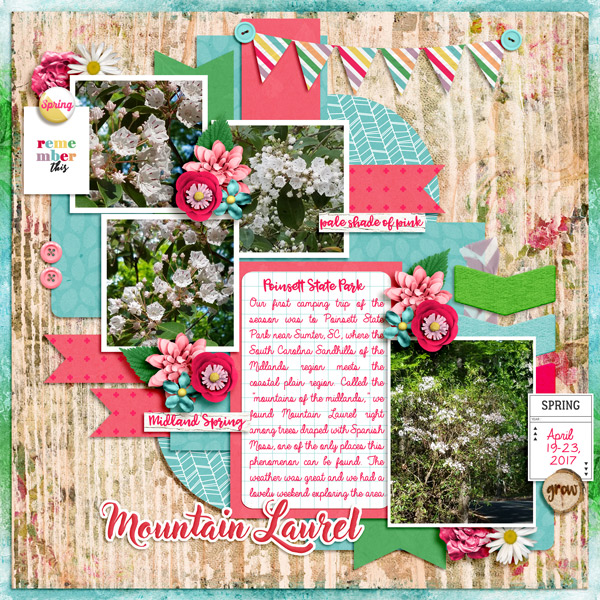 Mountain Laurel