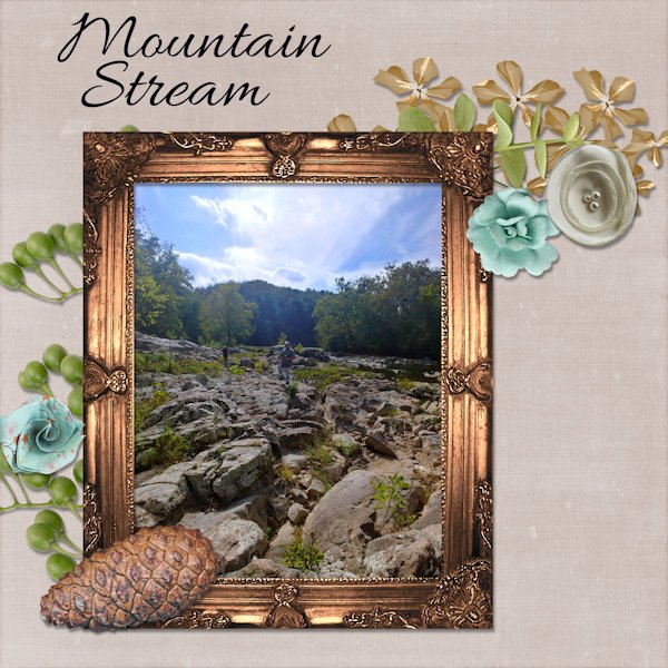Mountain Stream
