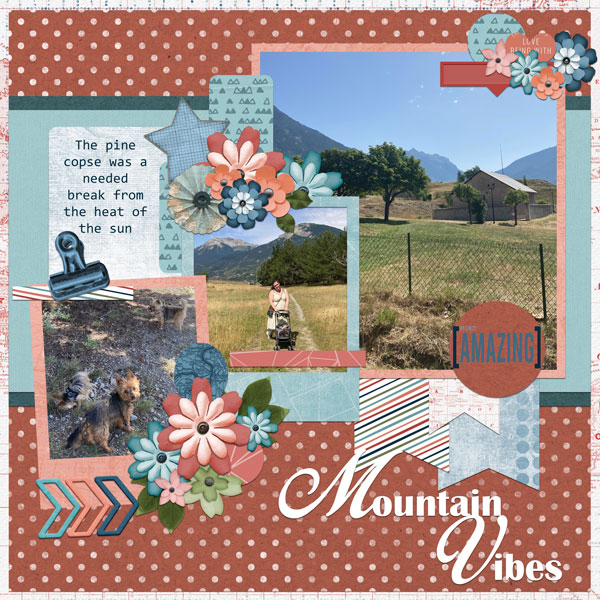 Mountain Vibes
