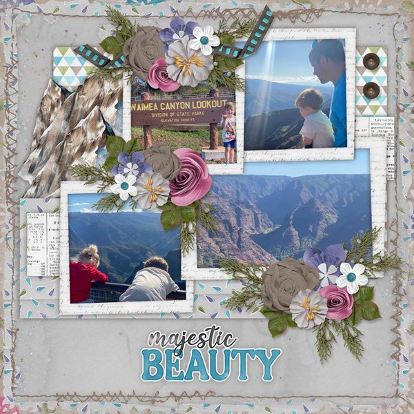 Mountain View-Amiee