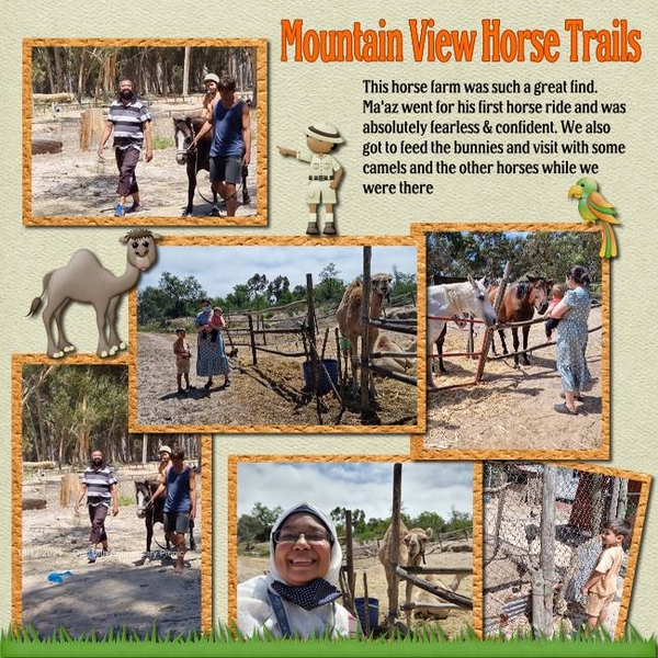 Mountain View Horse Trails
