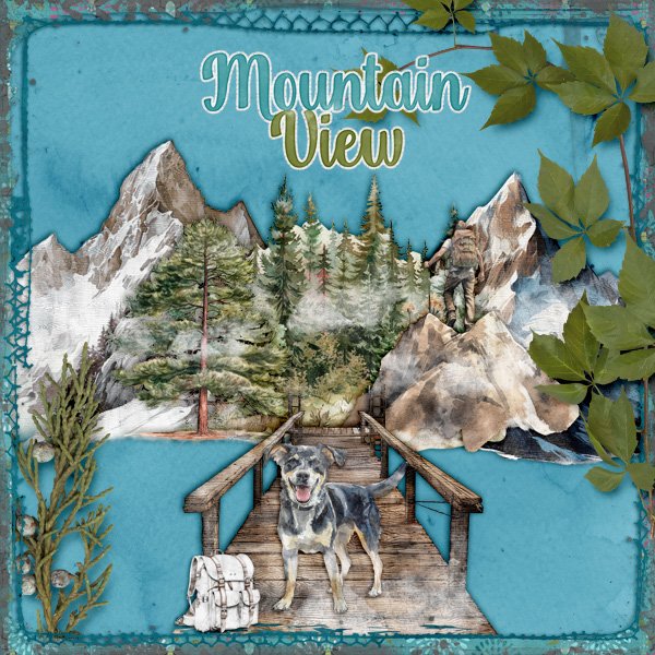 Mountain-view.jpg