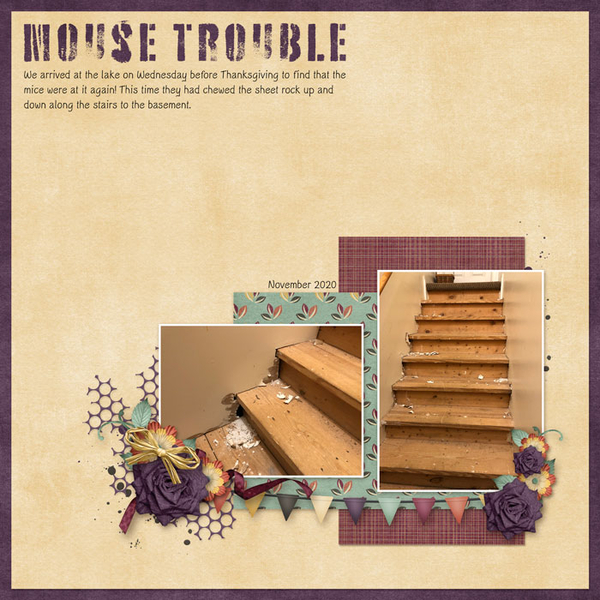 Mouse Trouble