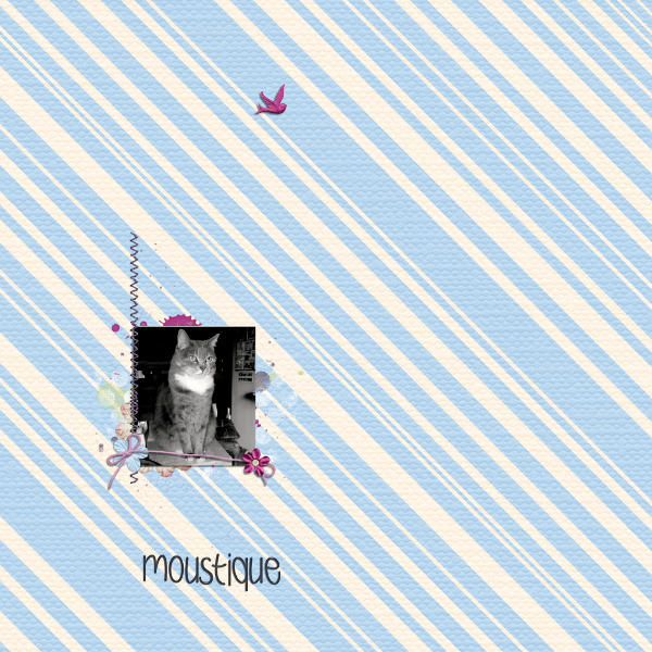 Moustique