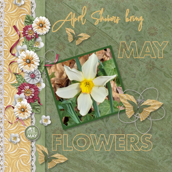 Moving into Spring