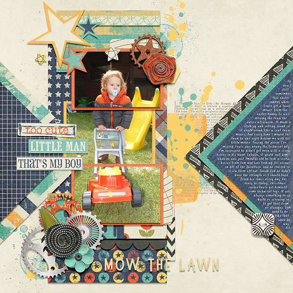 Mow the lawn