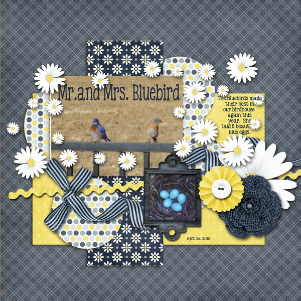 Mr. and Mrs. Bluebird