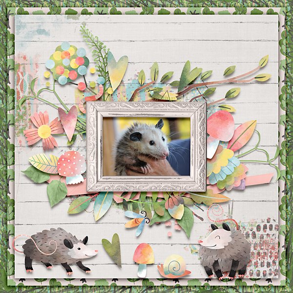 Mr. and Mrs. Opossum