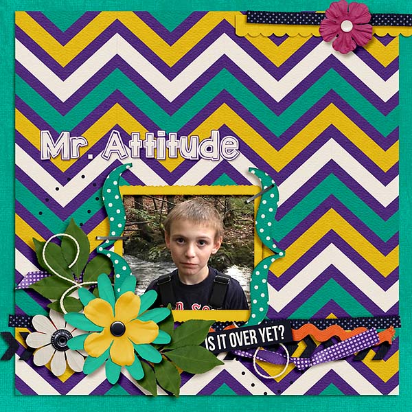 Mr. Attitude
