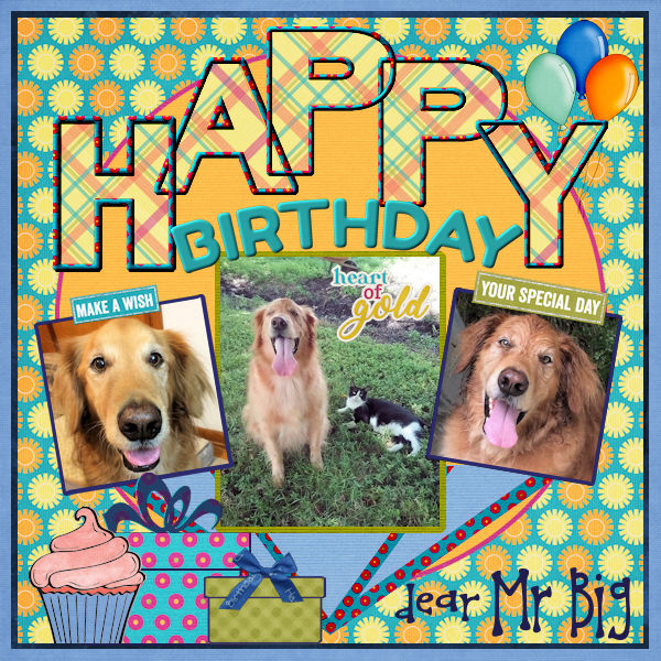 Mr Big birthday