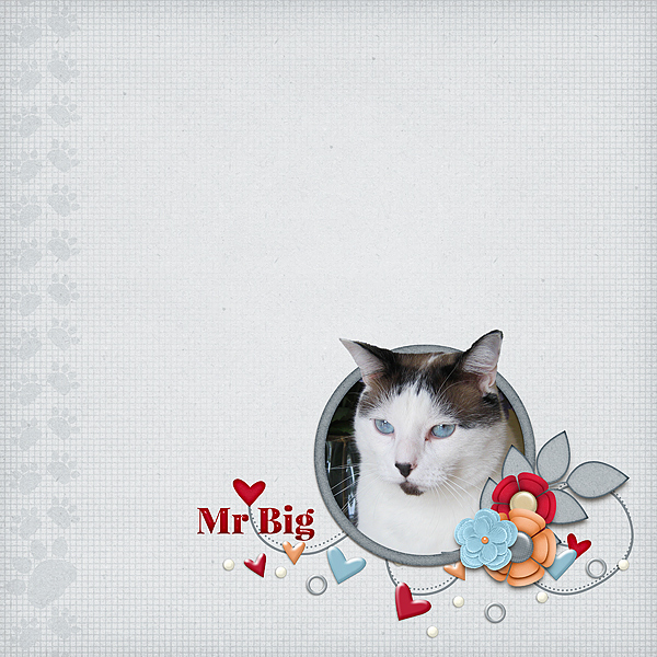Mr Big