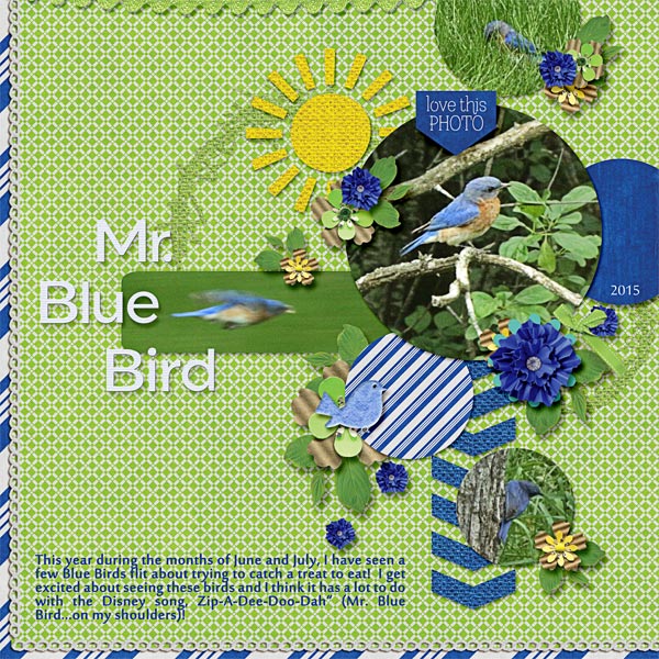 Mr. Blue Bird