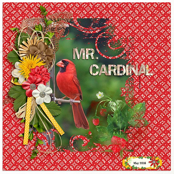 Mr. Cardinal