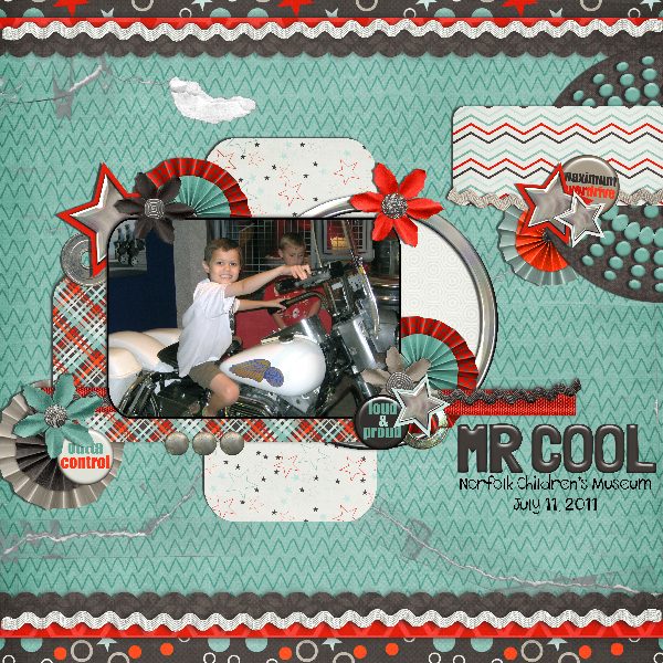 mr cool