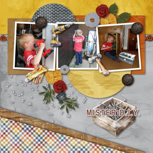 Mr DIY