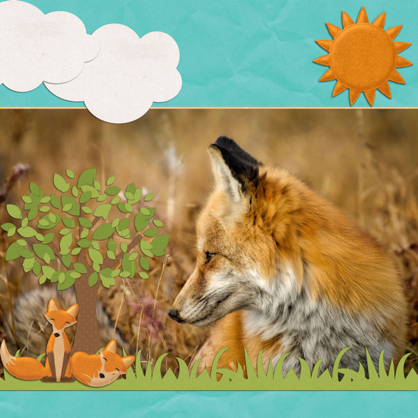 Mr Fox QP