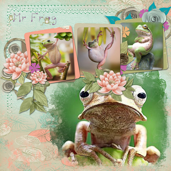 Mr Frog