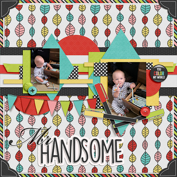 Mr Handsome
