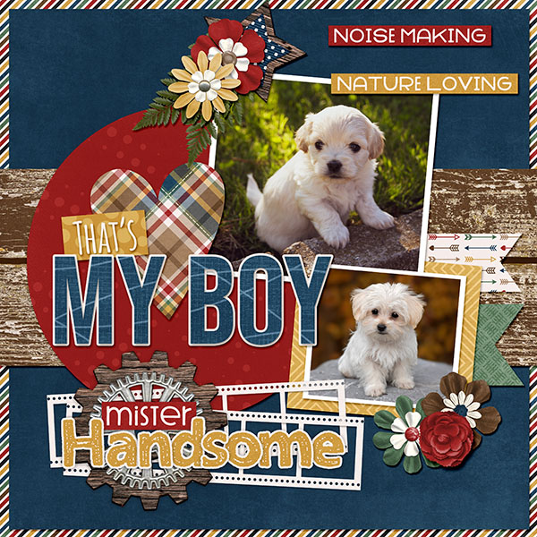 Mr. Handsome