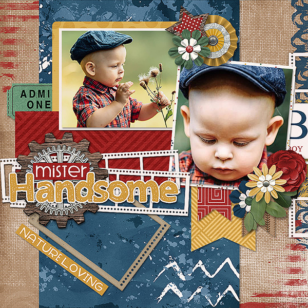 Mr.Handsome