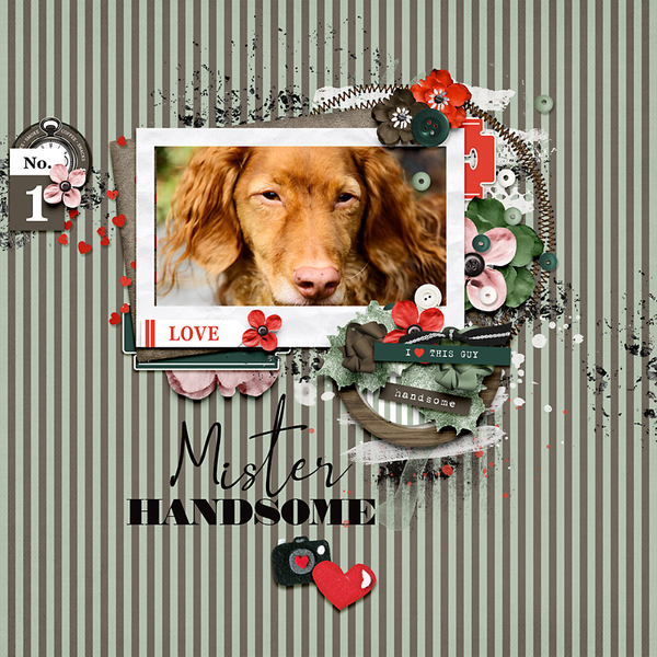 Mr. Handsome