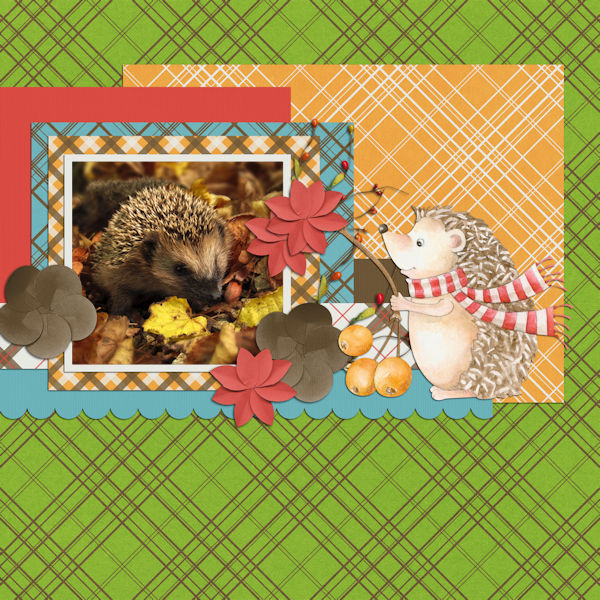 Mr Hedgehog QP