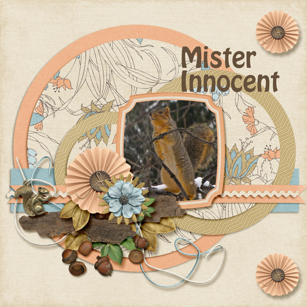 Mr Innocent