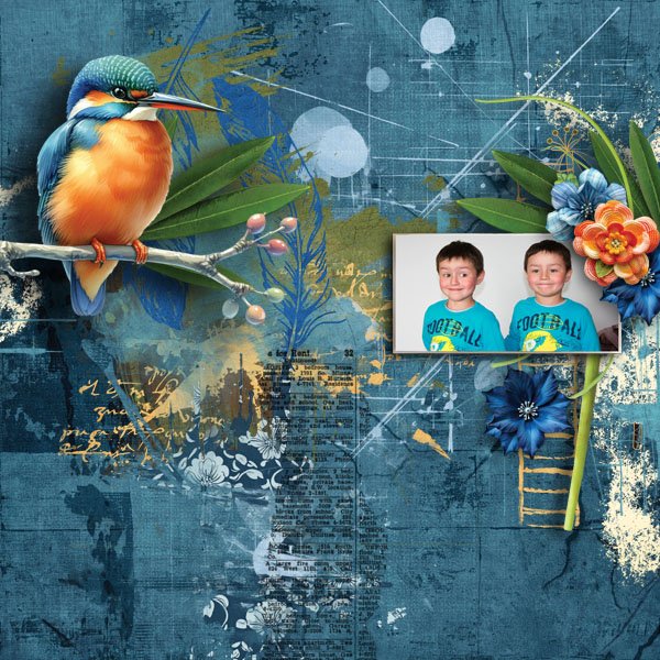 Mr Kingfisher