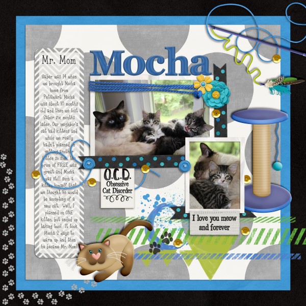 Mr. Mom ~ Mocha