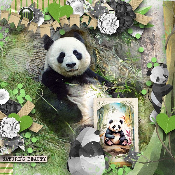 Mr. Panda