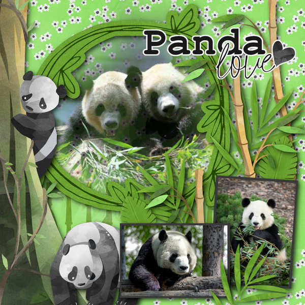 Mr. Panda