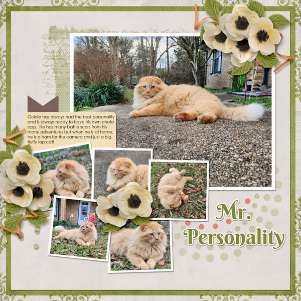Mr. Personality