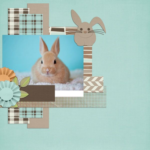 Mr Rabbit QP