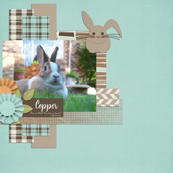 Mr Rabbit QP2