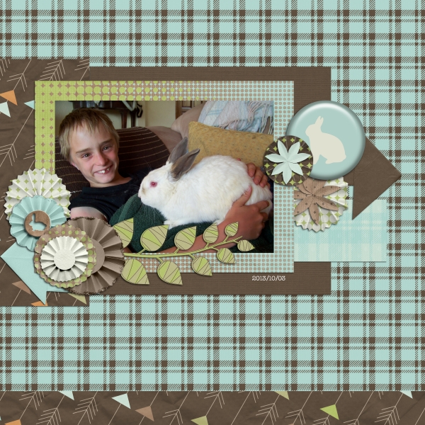 Mr Rabbit QP3