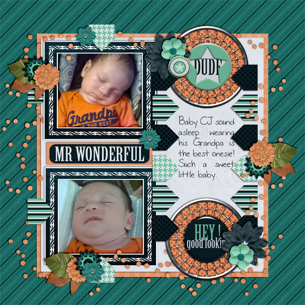 Mr. Wonderful