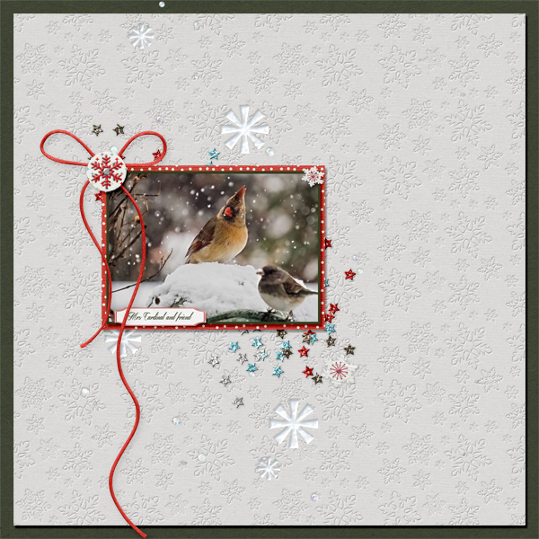 Mrs Cardinal and friend