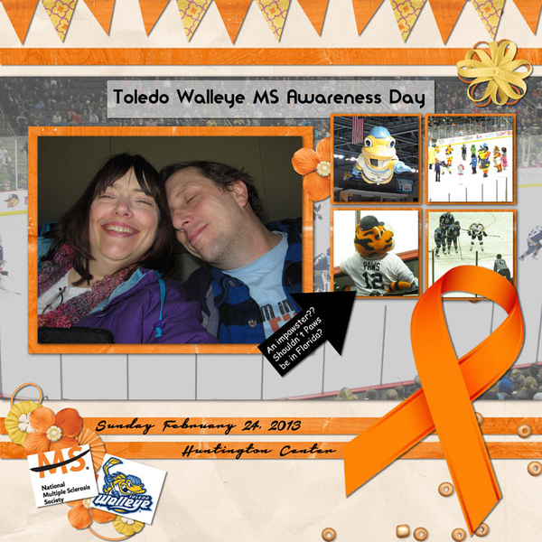MS Awareness Hockey