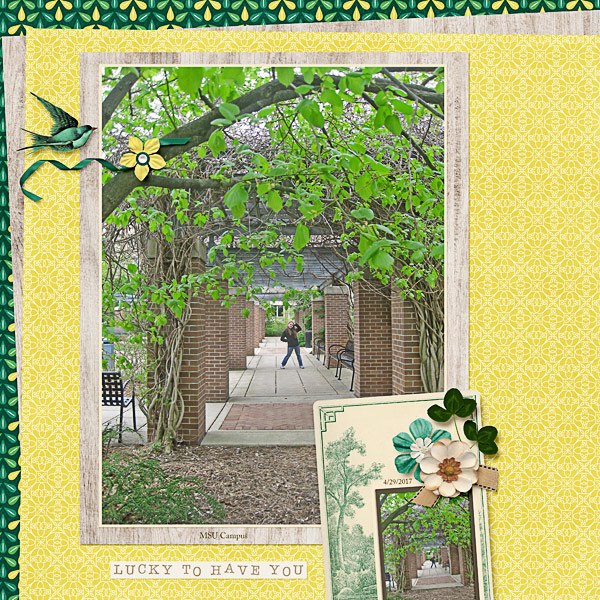 MSU Campus