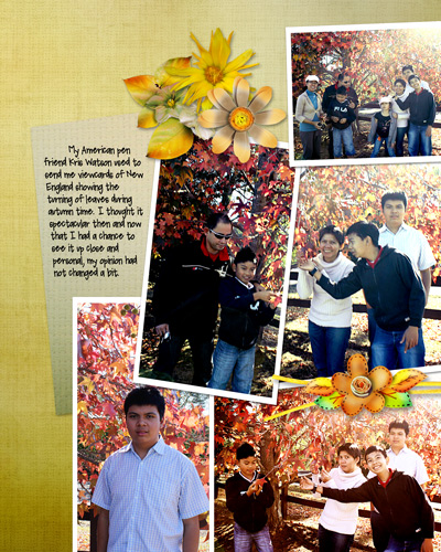 mt. schoenstatt